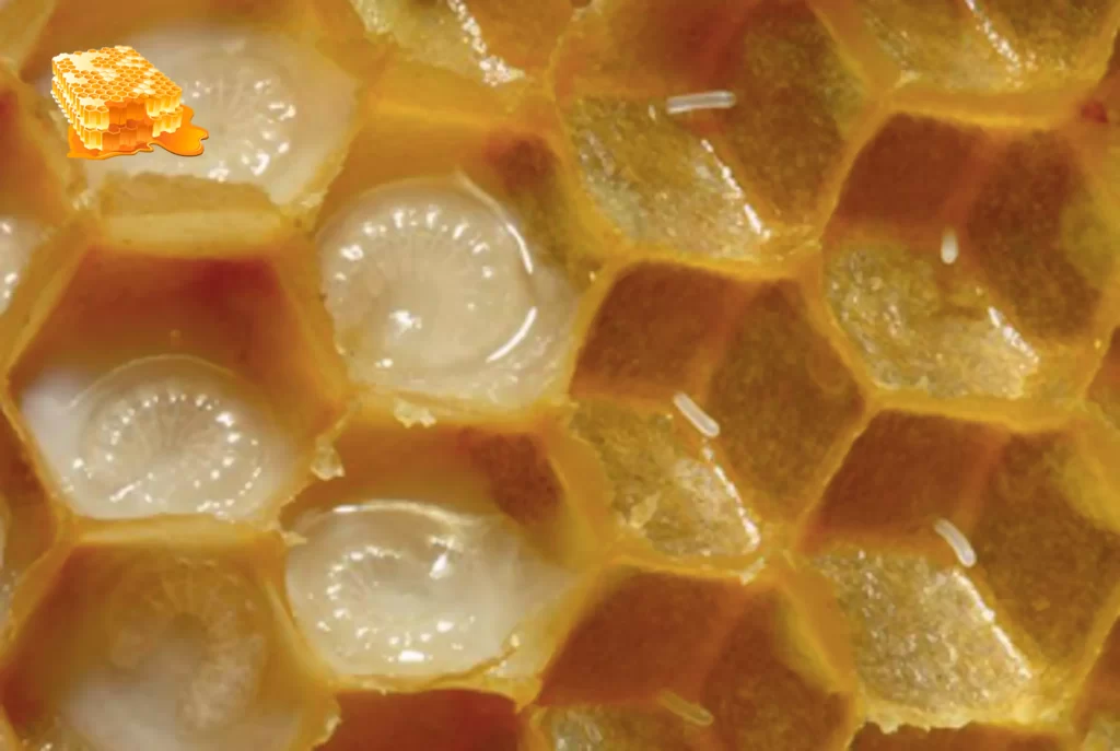 راهنمای کامل نحوه مصرف ژل رویال|از دوز تا زمان بهینه مصرف